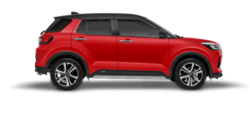 ROCKY-RED-COLOUR.png