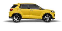 ROCKY-YELLOW-COLOUR.png